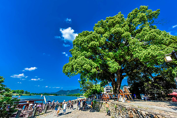 龙泉山旅游区第 45 张图片