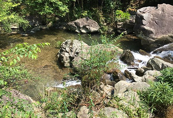 黄山天湖景区第 34 张图片