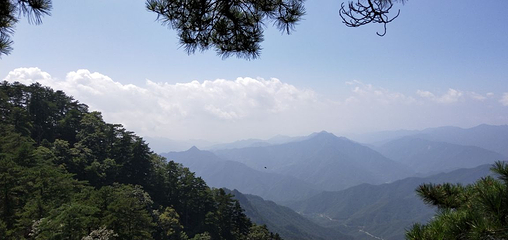 内乡宝天曼生态文化旅游区第 27 张图片