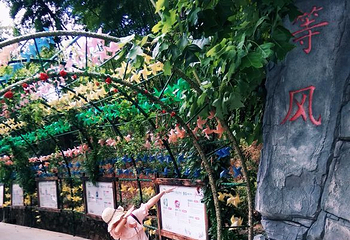 怪石岭第 26 张图片