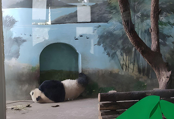 济南动物园第 54 张图片