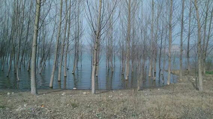 千湖国家湿地公园第 24 张图片