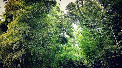 白龙观第 14 张图片