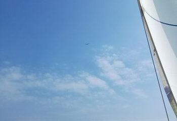 鑫艋帆船出海第 16 张图片