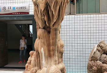 山东省天宇自然博物馆第 30 张图片