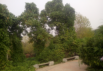 郑州植物园第 10 张图片