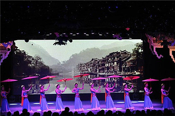 《梦幻沱江篝火晚会》演出第 12 张图片