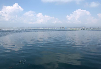 桑沟湾海洋牧场第 17 张图片