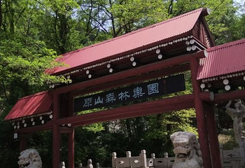 原山国家森林公园第 29 张图片
