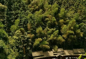 石门冲自然生态景区第 11 张图片