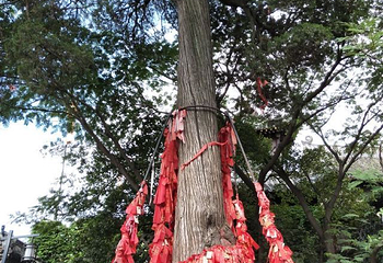 大孤山第 35 张图片