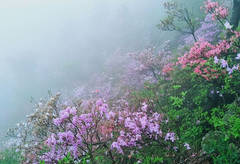 英山县天马寨风景区第 30 张图片