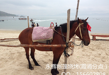 熊猫金海岸第 25 张图片
