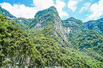 芙蓉江第 17 张图片