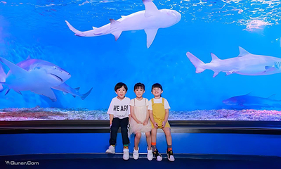 正佳极地海洋世界第 6 张图片