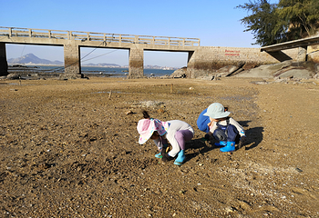 小嶝岛第 19 张图片