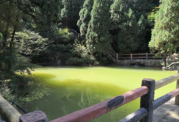 黄金谷山水风景区第 35 张图片