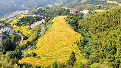 上堡梯田第 34 张图片
