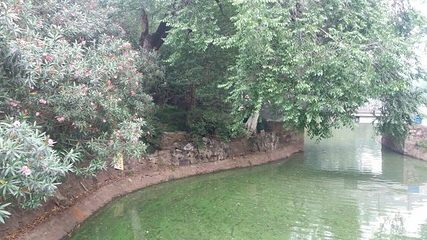 中山公园第 32 张图片