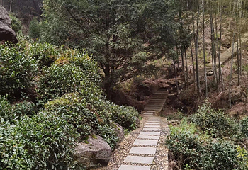 瑶里景区第 80 张图片