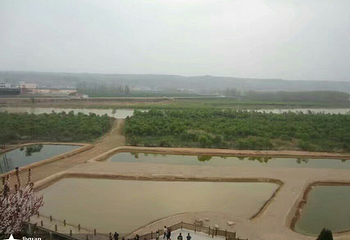 千湖国家湿地公园第 25 张图片
