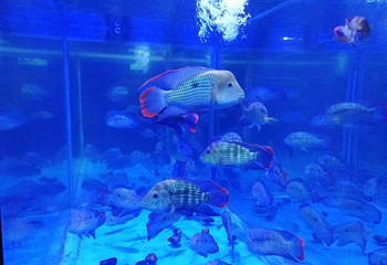 云龙湖水上世界第 21 张图片