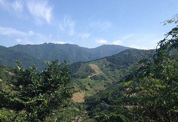 金刚台(西河)生态旅游区第 59 张图片