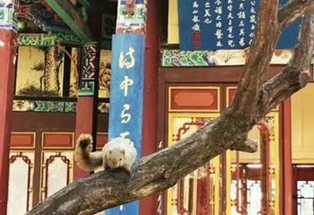 大观楼第 21 张图片