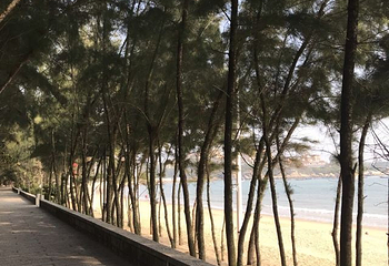 马銮湾第 17 张图片
