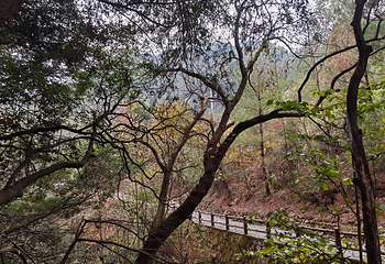 瑶里景区第 85 张图片