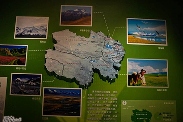 青海省博物馆第 41 张图片