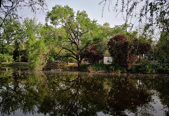 咸阳湖景区渭滨公园第 20 张图片