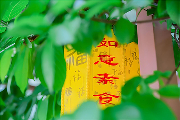 观音山旅游风景区第 288 张图片