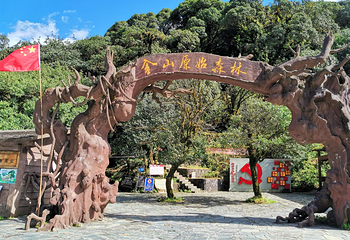 金山原始森林第 9 张图片
