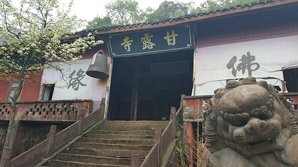 蒙顶山第 174 张图片