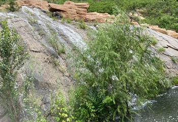 卓阅清水湾温泉度假区第 9 张图片