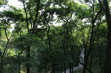 孟良崮旅游区第 44 张图片