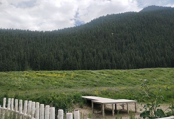 南山牧场第 46 张图片