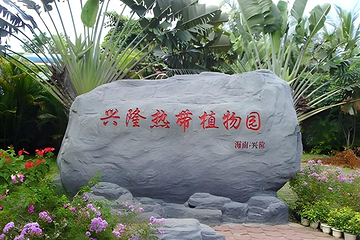 兴隆热带植物园第 88 张图片
