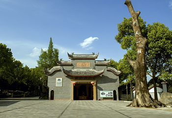 江湾神⽊园第 13 张图片