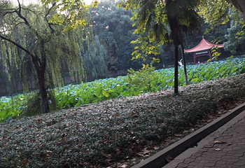 华中科技大学第 21 张图片