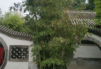 山海关王家大院第 21 张图片