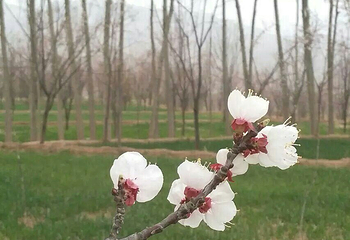 西宁朝阳公园第 3 张图片