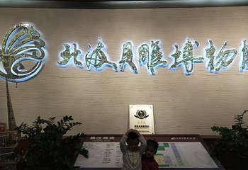 北海贝雕博物馆第 20 张图片