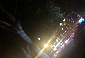 杨厅第 5 张图片