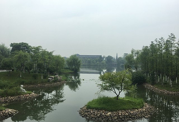 海春塔苑第 19 张图片