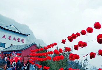 南阳五朵山第 35 张图片