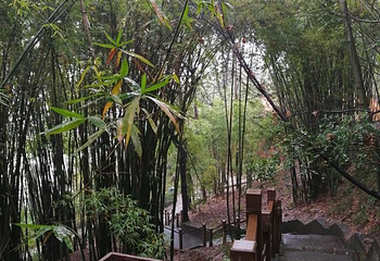 锦屏山第 28 张图片