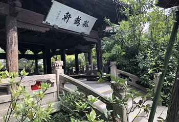 沈园第 109 张图片