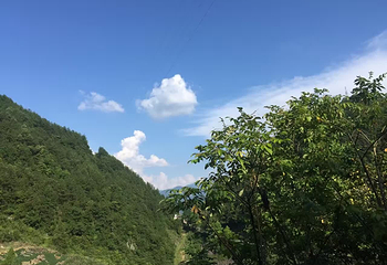 松柏风景区第 8 张图片